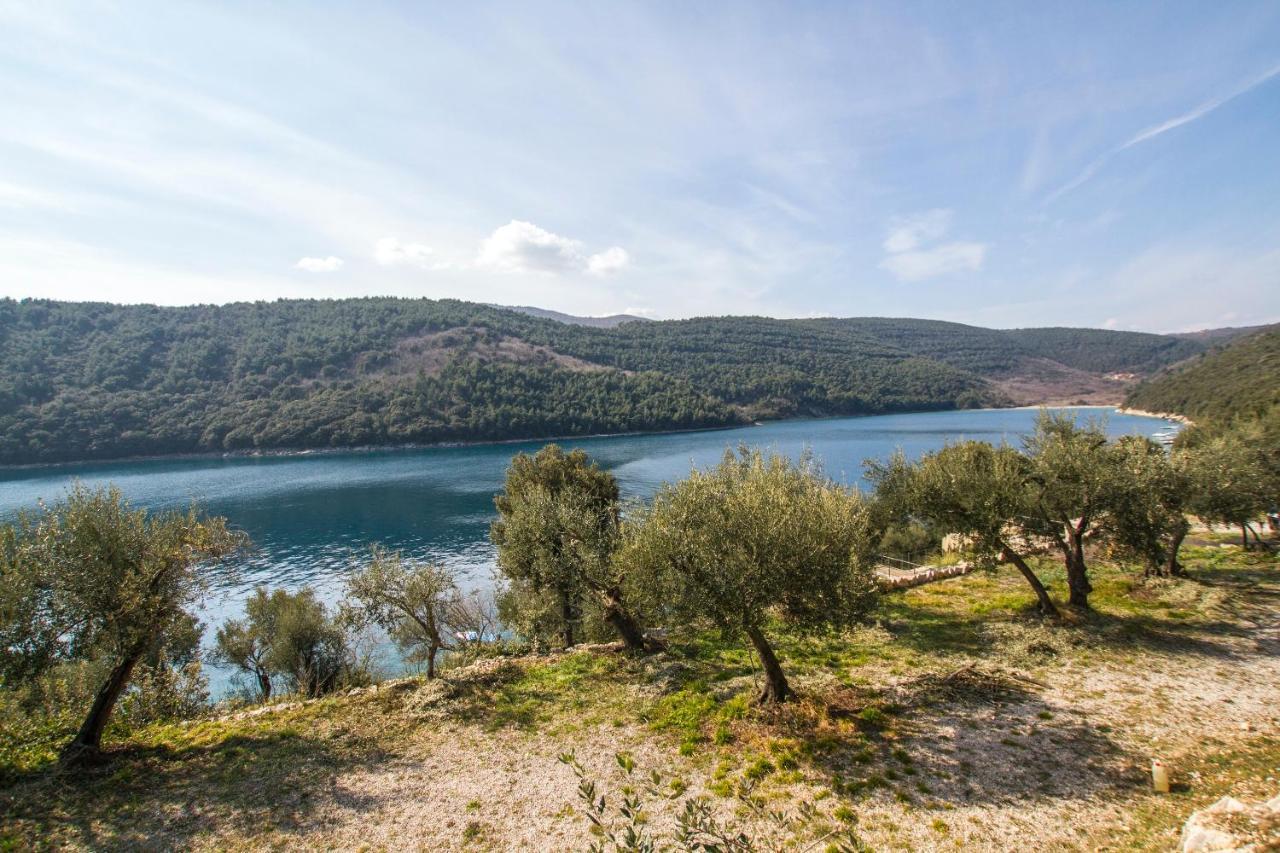 Istria Sea Side Apartments Labin  Dış mekan fotoğraf