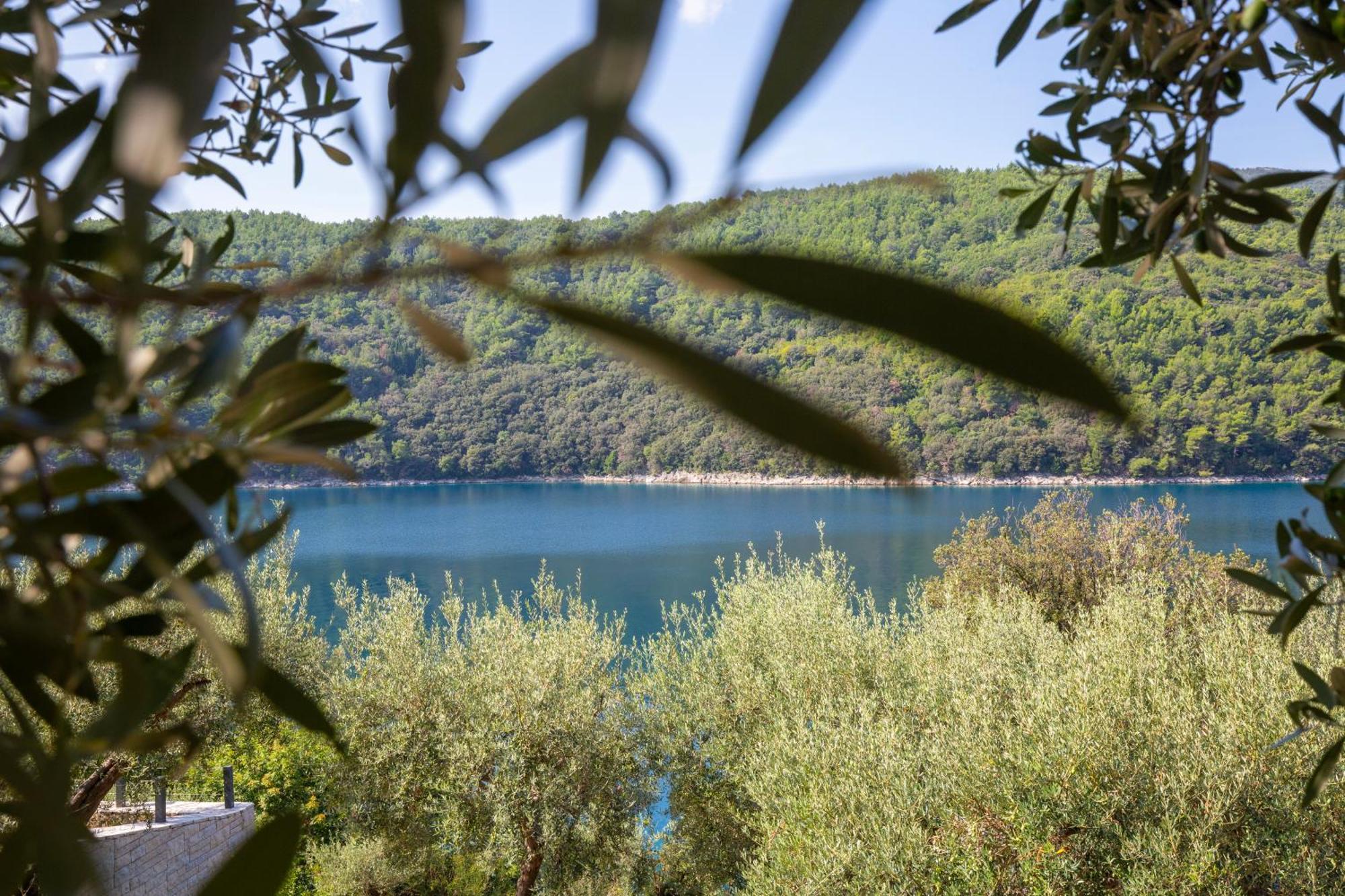 Istria Sea Side Apartments Labin  Dış mekan fotoğraf